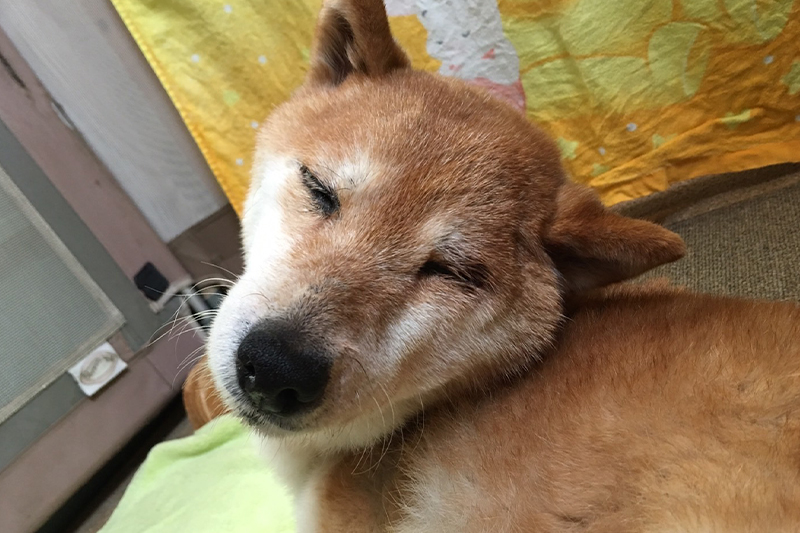 ボディケア