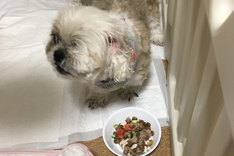 食事・給水
